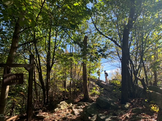 kids climbing rocks in forest