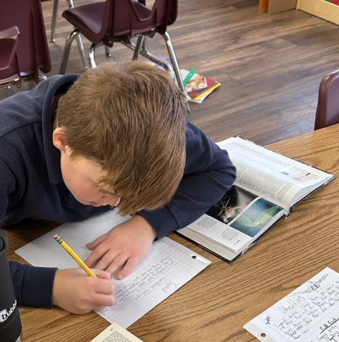 montessori language arts activity