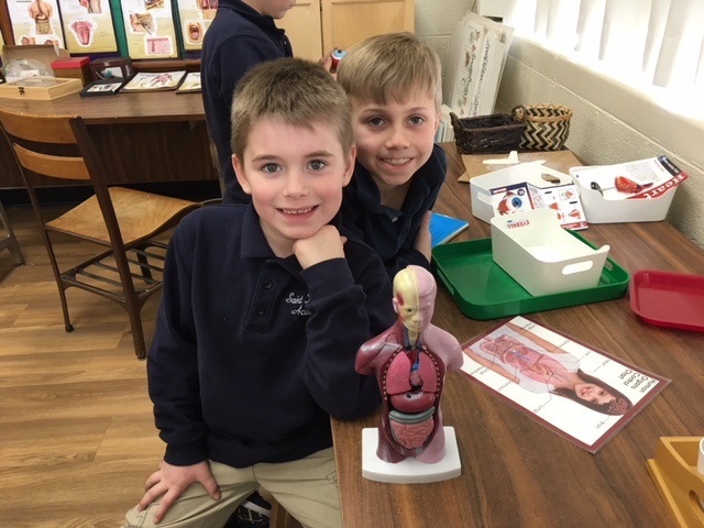 children posing with anamatomy figurine