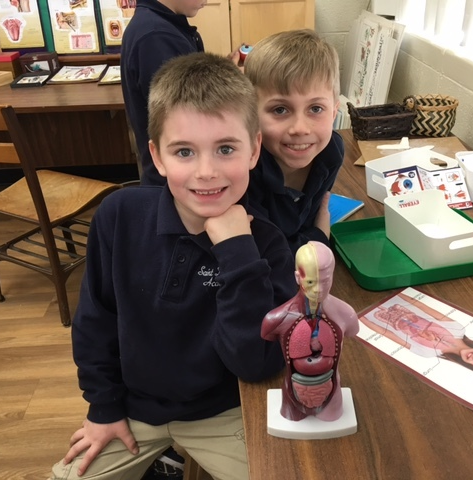 children posing with an anatomy figurine